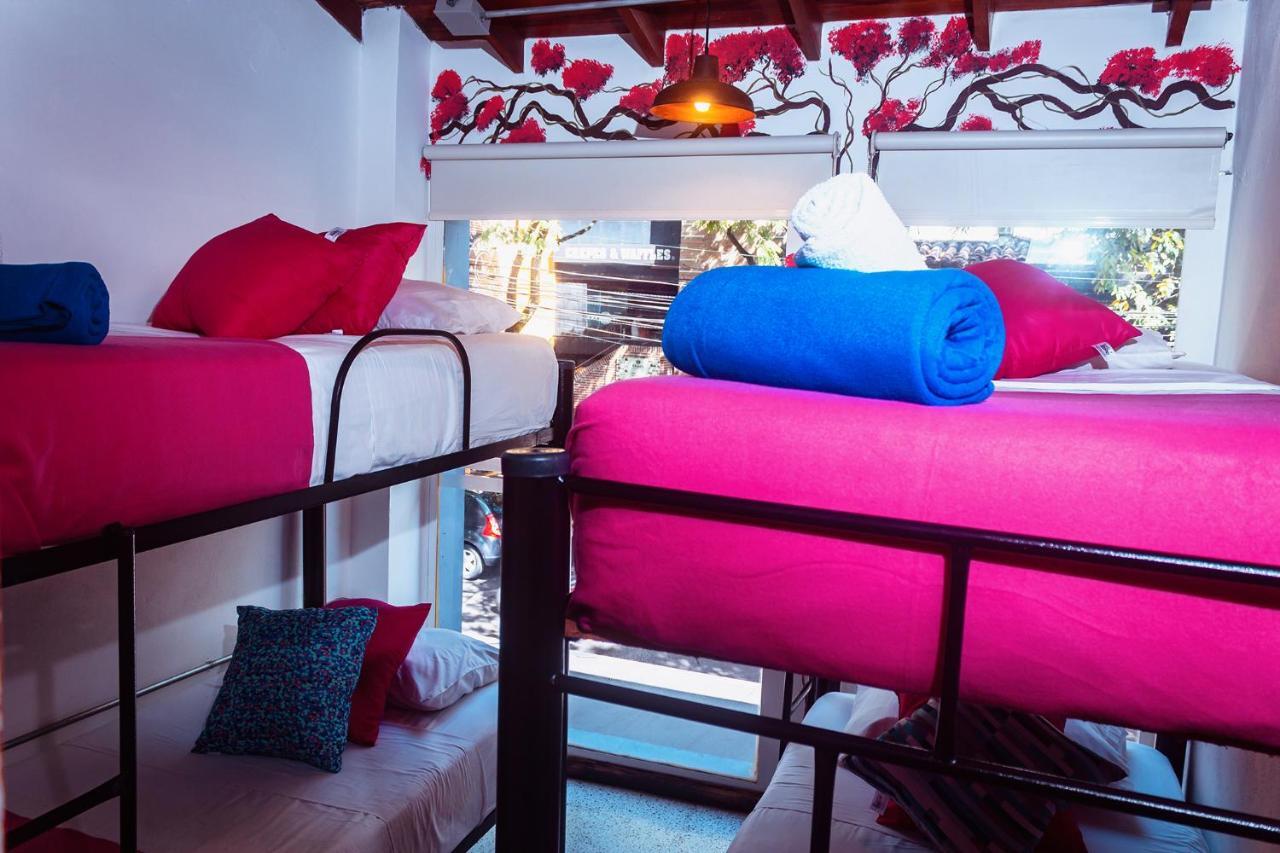 Hotel Boutique Stay Provenza Меделин Екстериор снимка